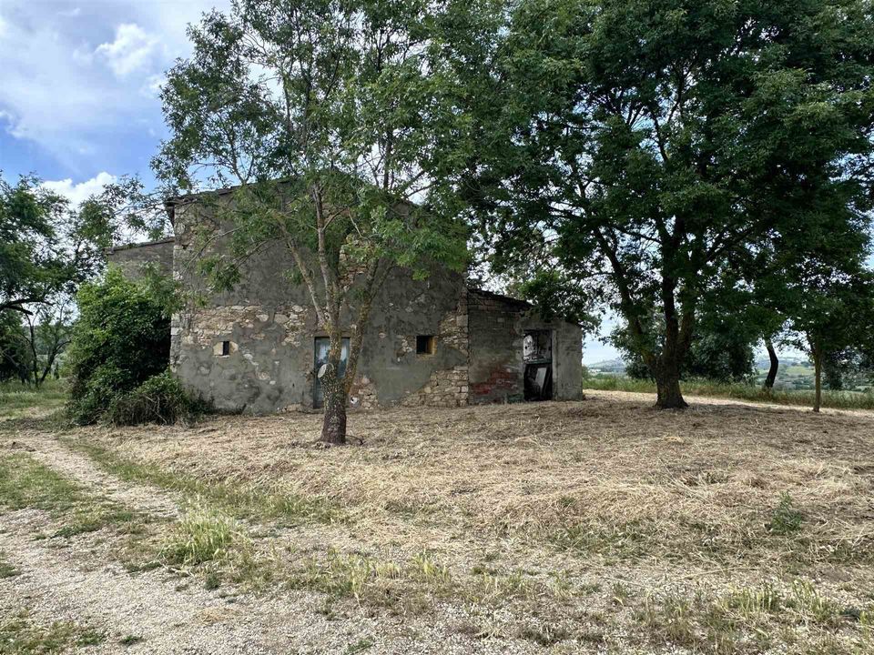 Farm hus i Scansano, Grosseto - foto 5