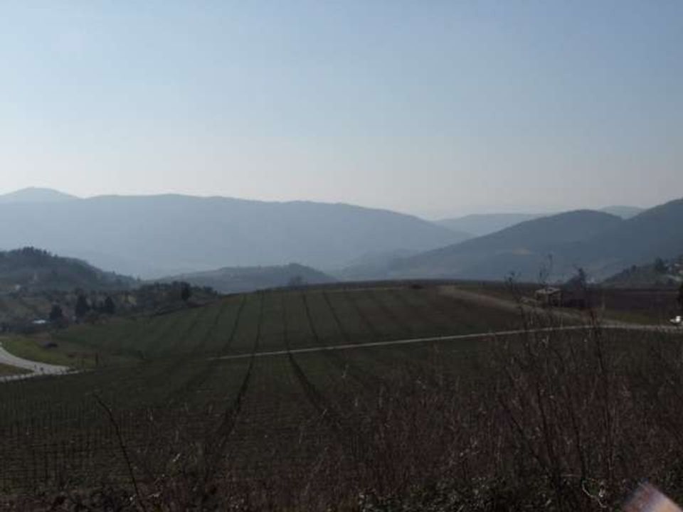 Farm hus i Pelago, Florence - foto 2