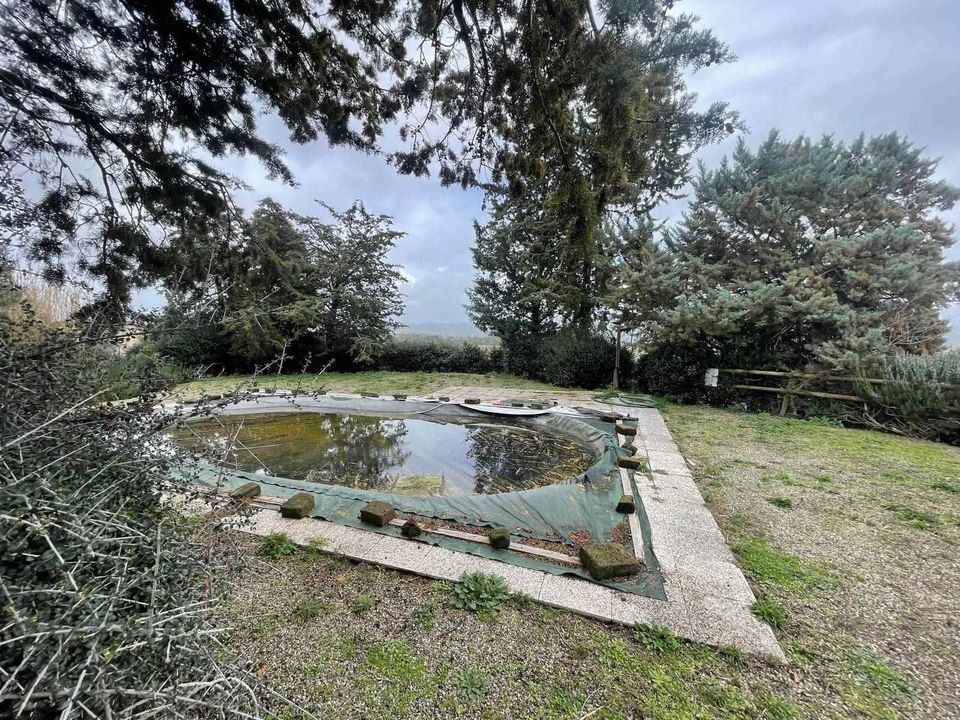 Farm hus i Campagnatico, Grosseto - foto 5