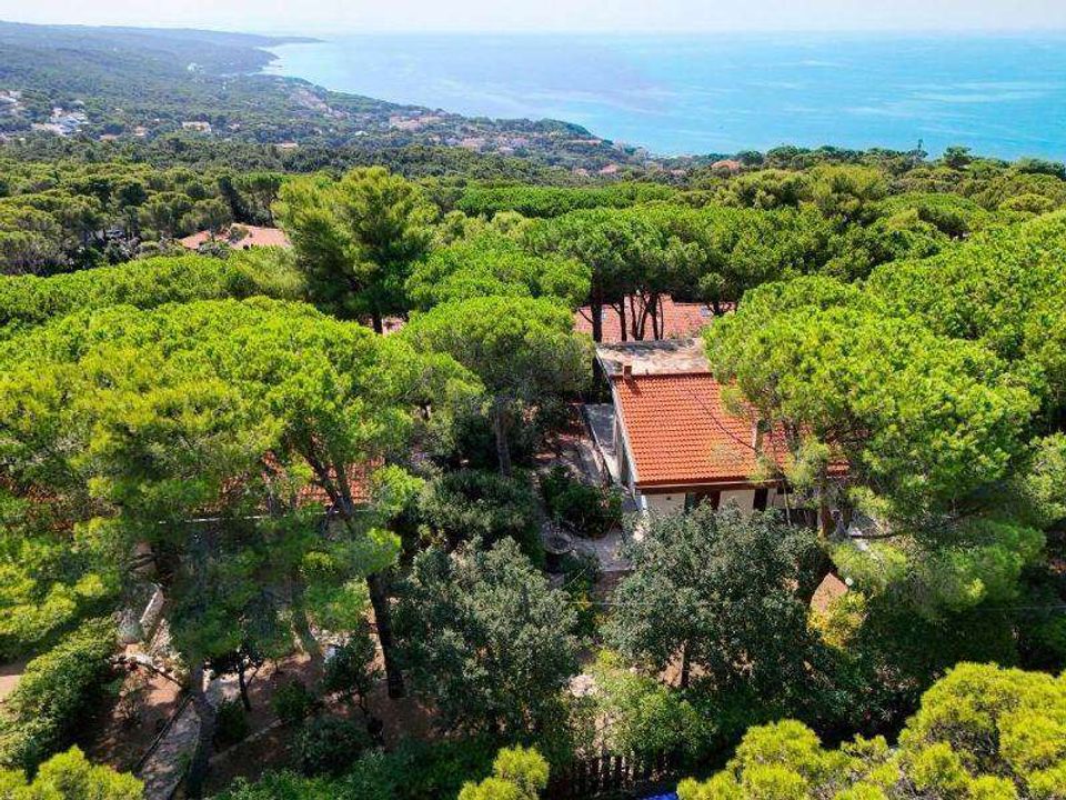 Villa i Livorno, Livorno - foto 1