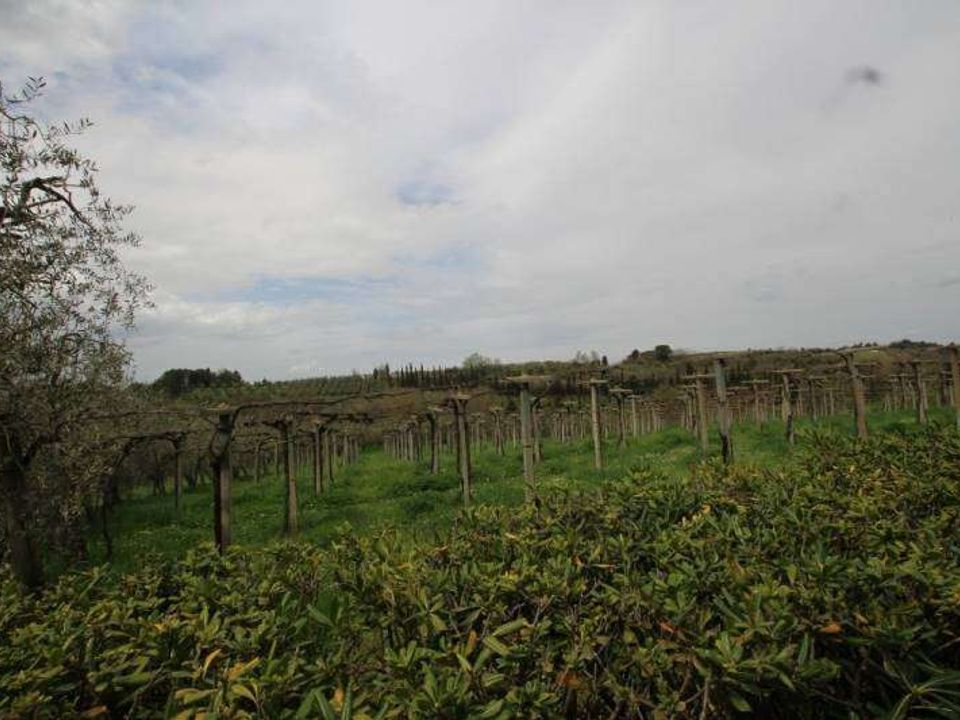 Farm hus i Peccioli, Pisa - foto 2