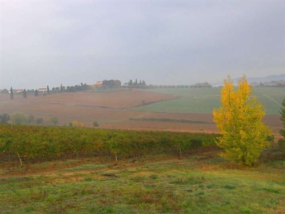 Farm hus i Cortona, Arezzo - foto 2