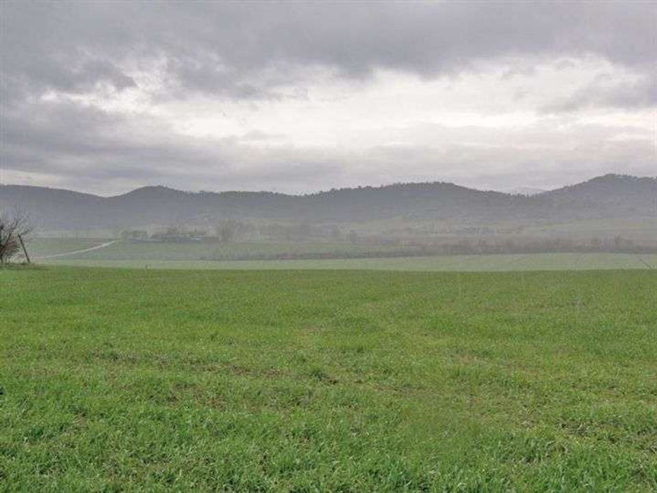 Helårsgrund i Panicale, Perugia - foto 5