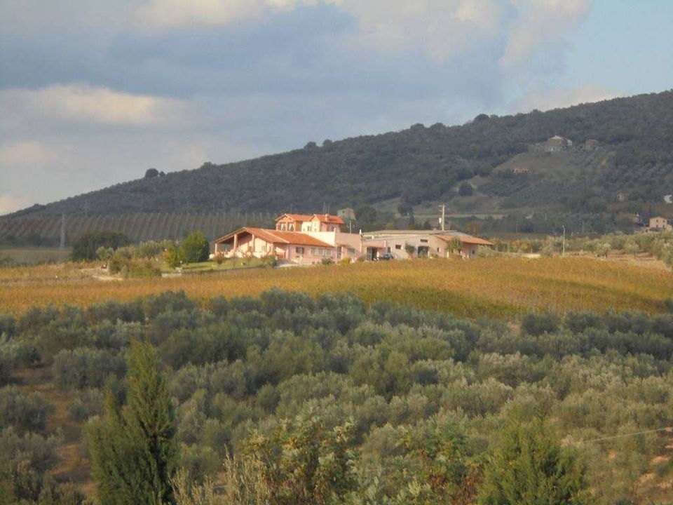 Erhvervsejendom i Montecchio, Terni - foto 1