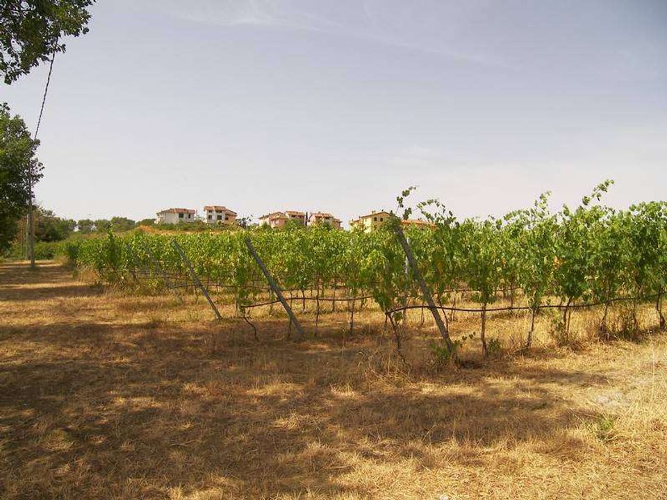 Helårsgrund i Marciano Della Chiana, Arezzo - foto 5