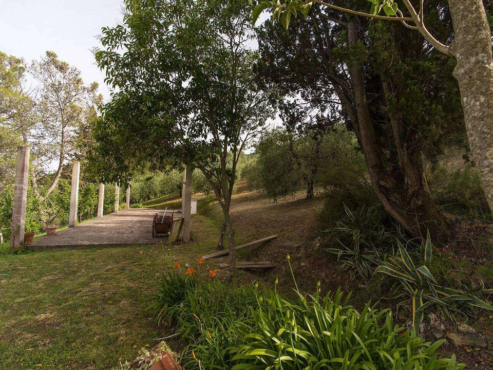 Villa a Collesalvetti, Livorno - foto 2
