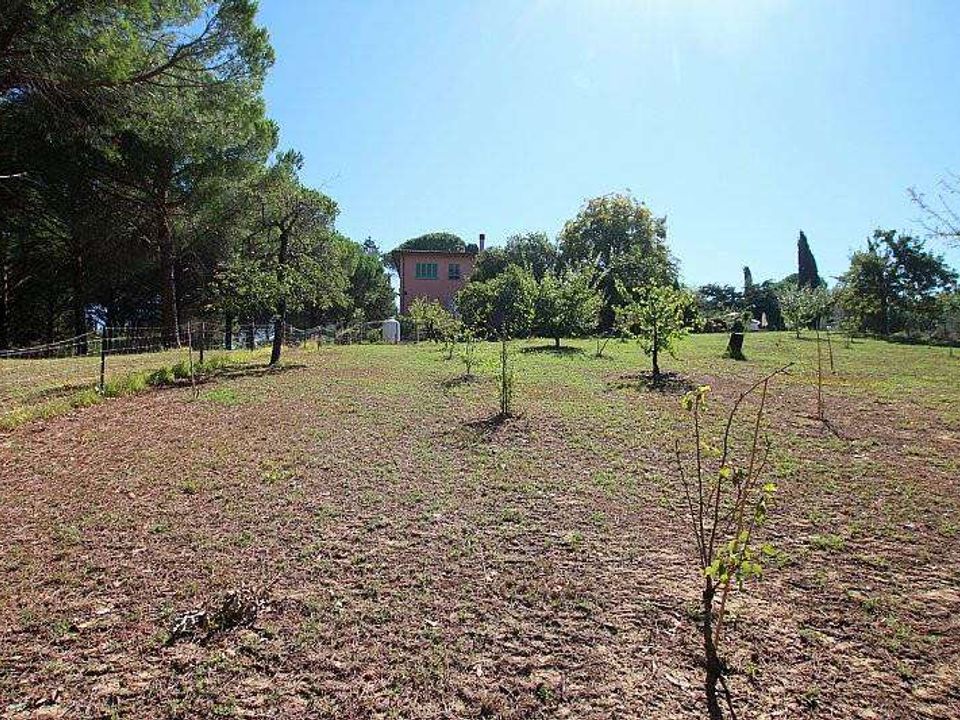 Farm hus i Terricciola, Pisa - foto 5