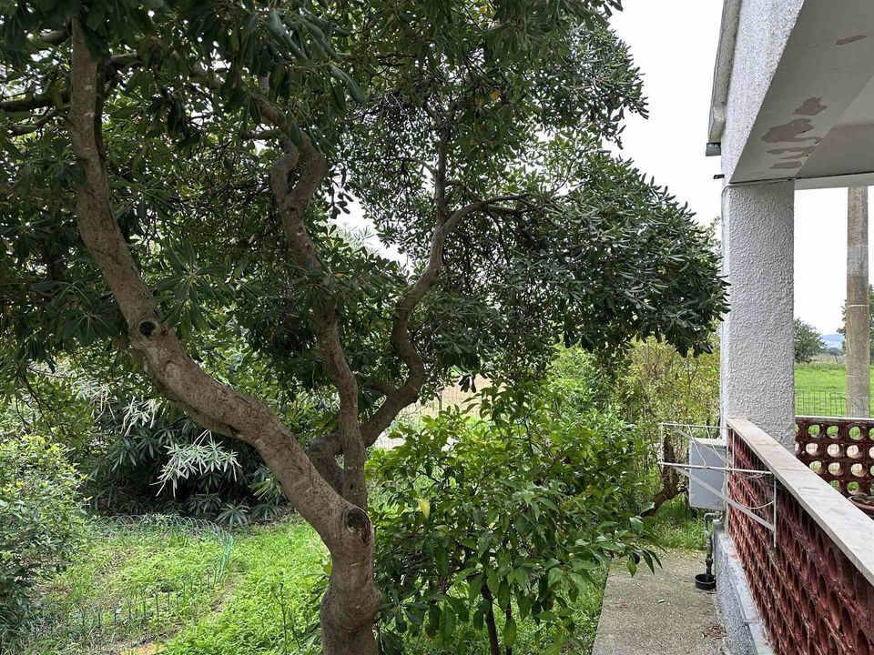 Farm hus i Roccastrada, Grosseto - foto 5