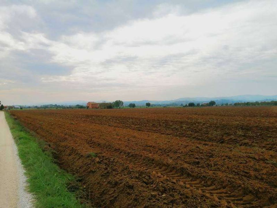 Helårsgrund i Montepulciano, Siena - foto 3