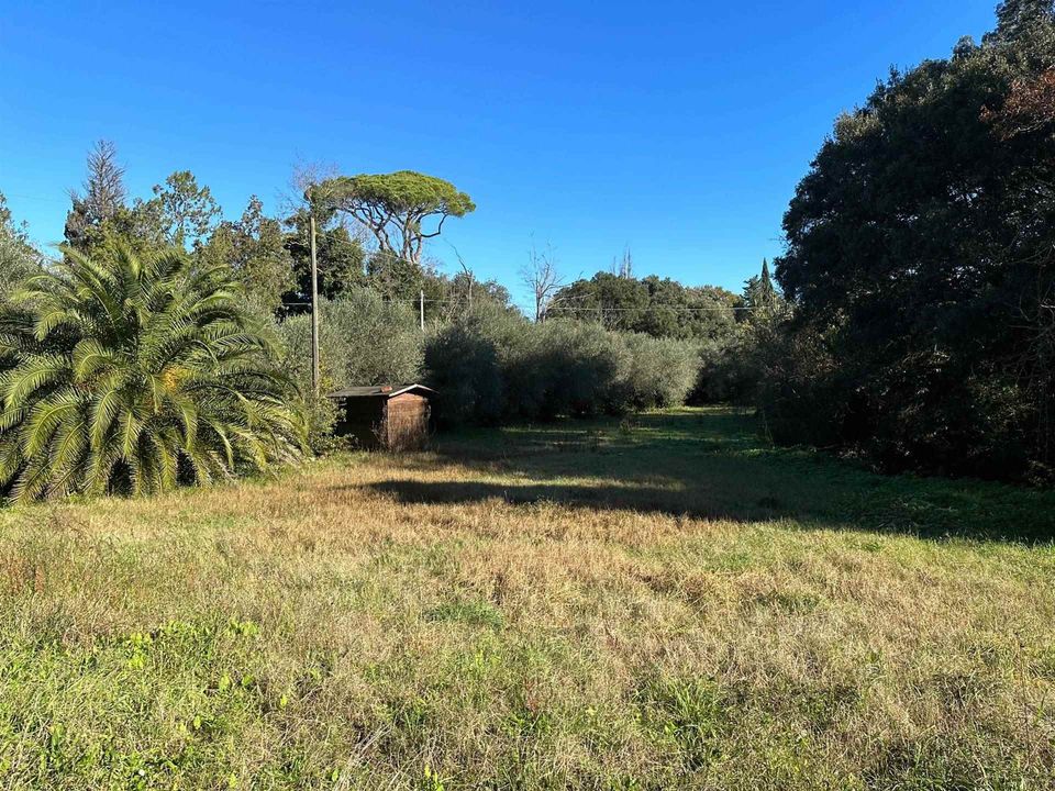 Villa i Bibbona, Livorno - foto 5
