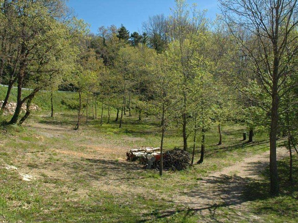 Farm hus i Massa Marittima, Grosseto - foto 3