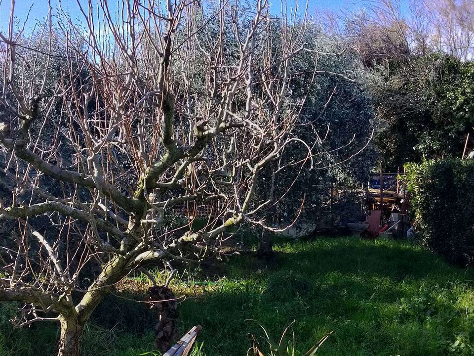 Farm hus i Rosignano Marittimo, Livorno - foto 3