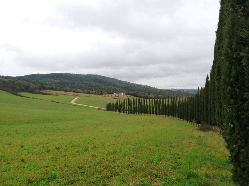 Helårsgrund i Murlo, Siena - foto 1
