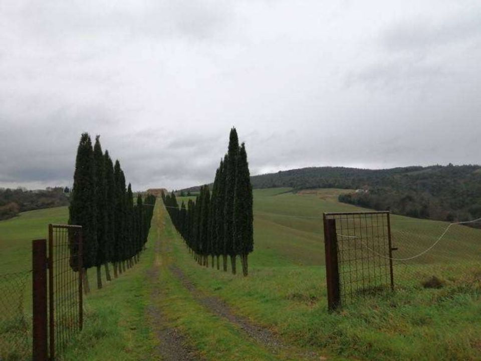 Helårsgrund i Murlo, Siena - foto 2