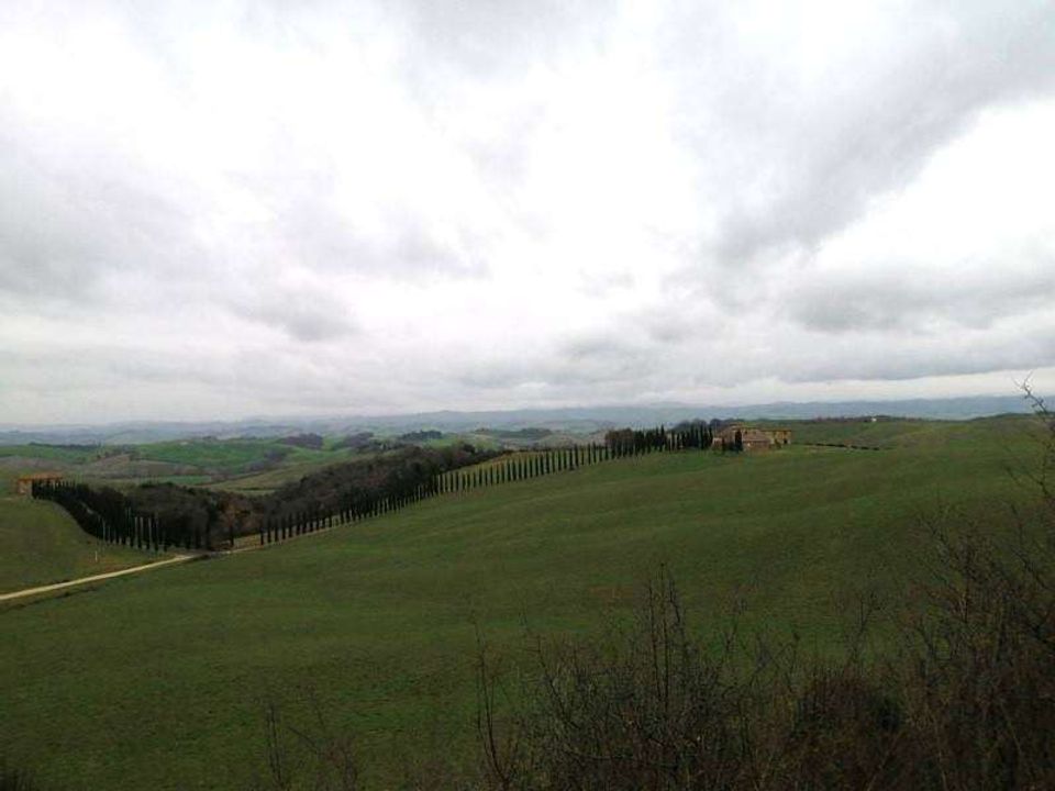 Helårsgrund i Murlo, Siena - foto 3