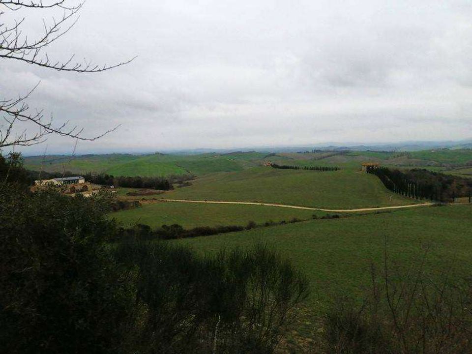 Helårsgrund i Murlo, Siena - foto 4