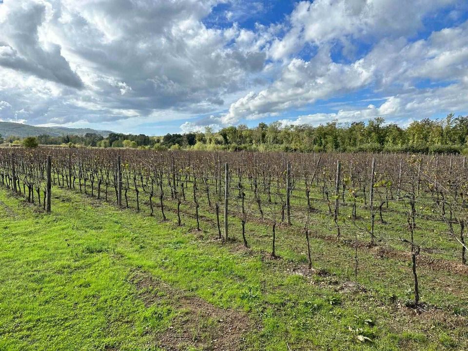 Farm hus i Grosseto, Grosseto - foto 1