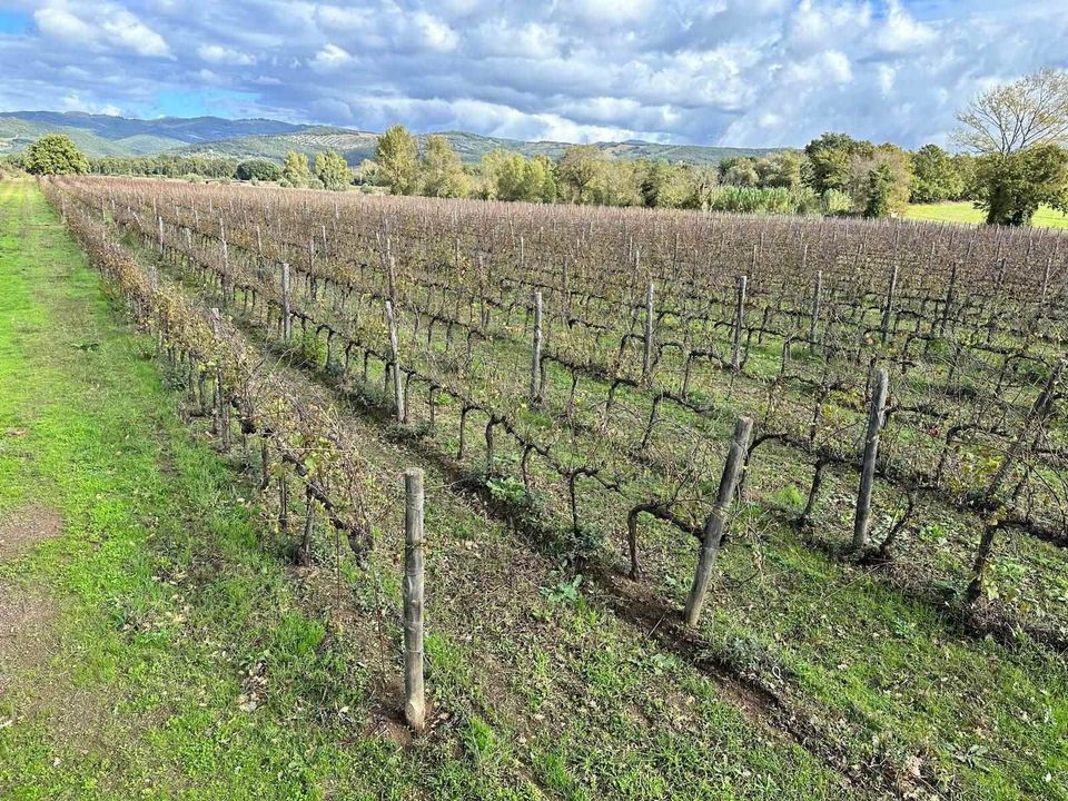 Farm hus i Grosseto, Grosseto - foto 2