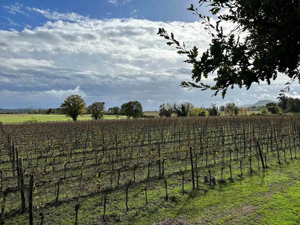 Farm hus i Grosseto, Grosseto - foto 3