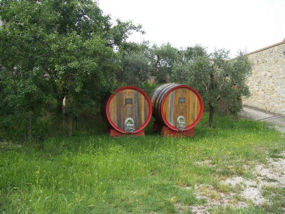Helårsgrund i Montalcino, Siena - foto 4