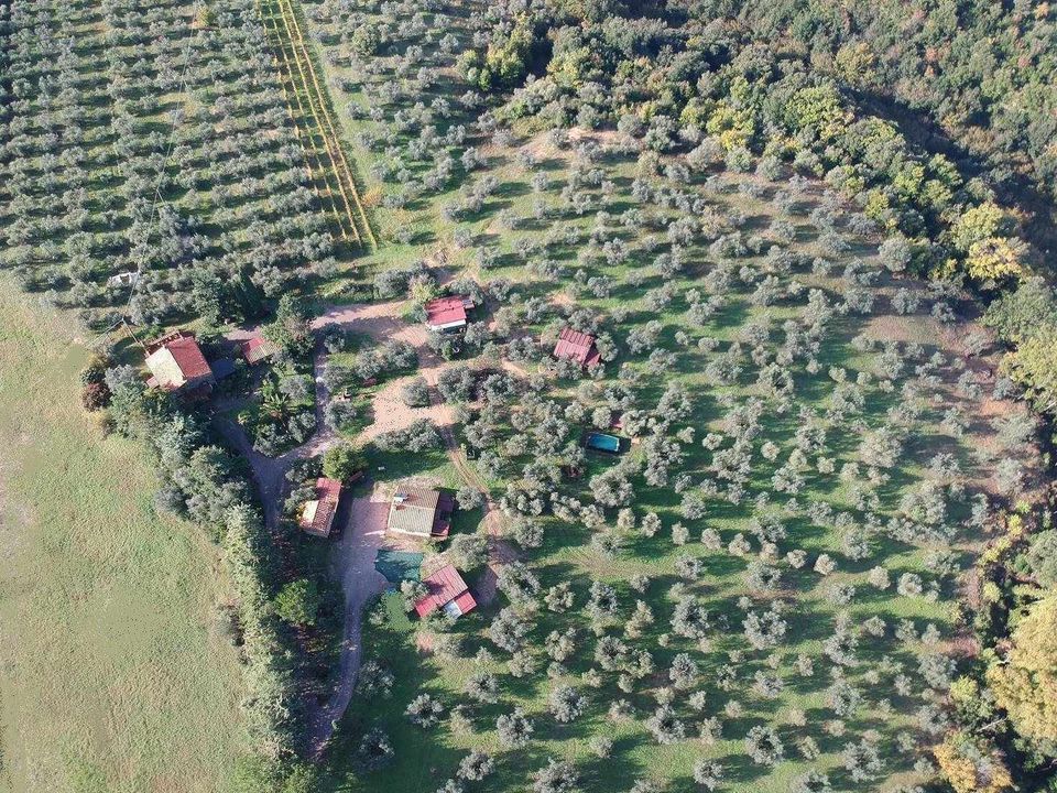 Farm hus i Roccastrada, Grosseto - foto 1