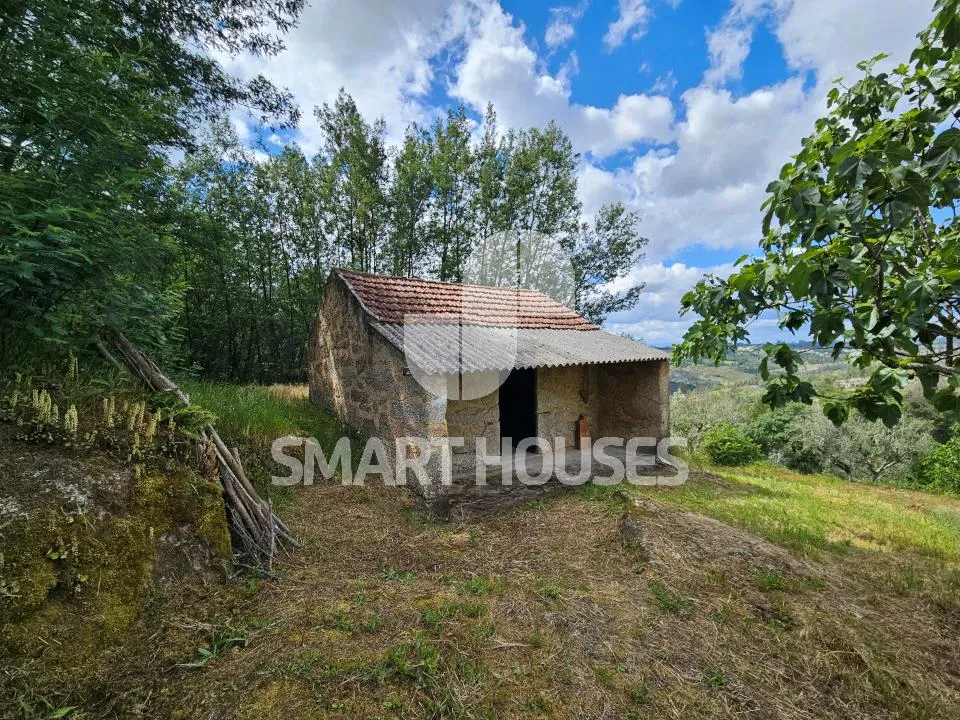 Farm i Tabua, Coimbra - foto 1
