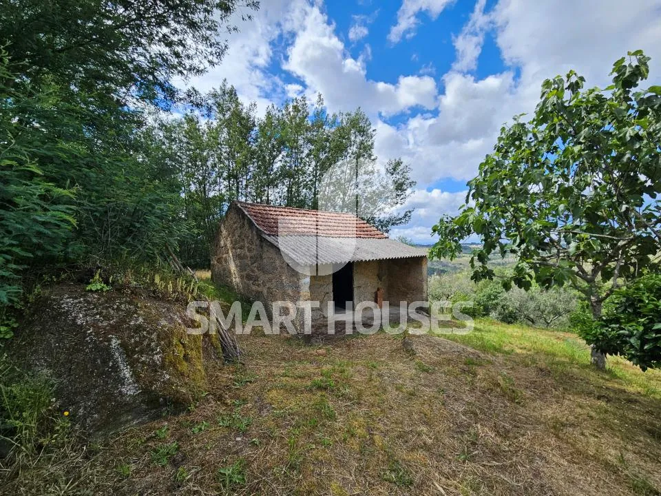 Farm i Tabua, Coimbra - foto 2