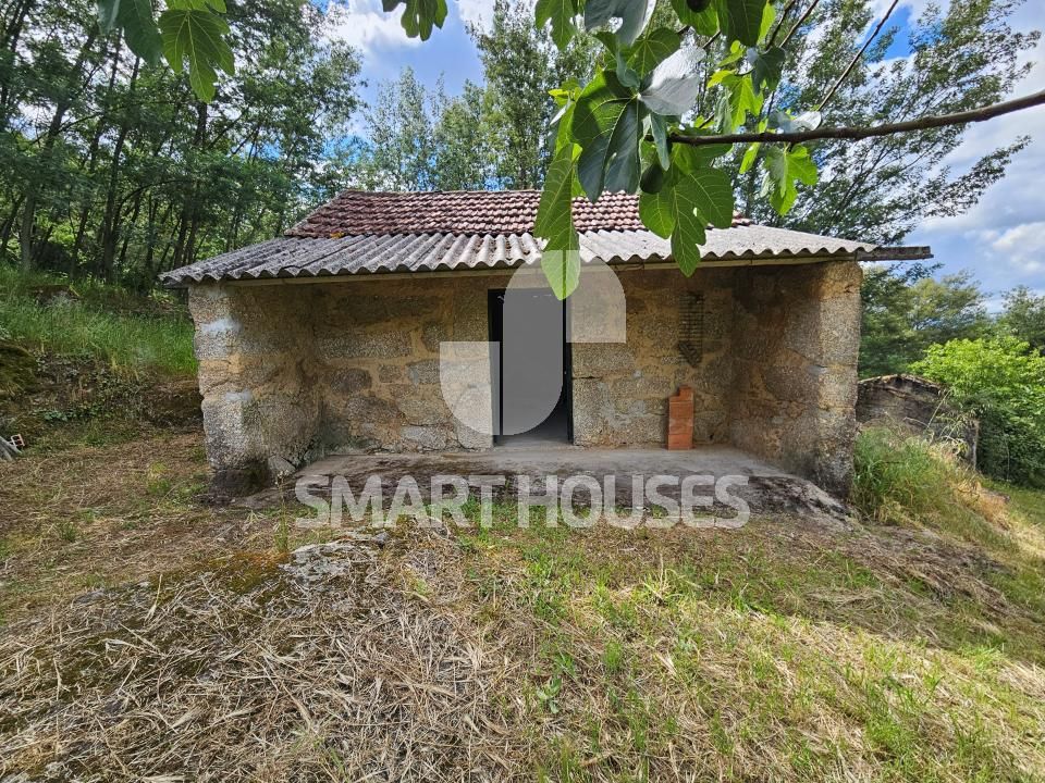 Farm i Tabua, Coimbra - foto 3