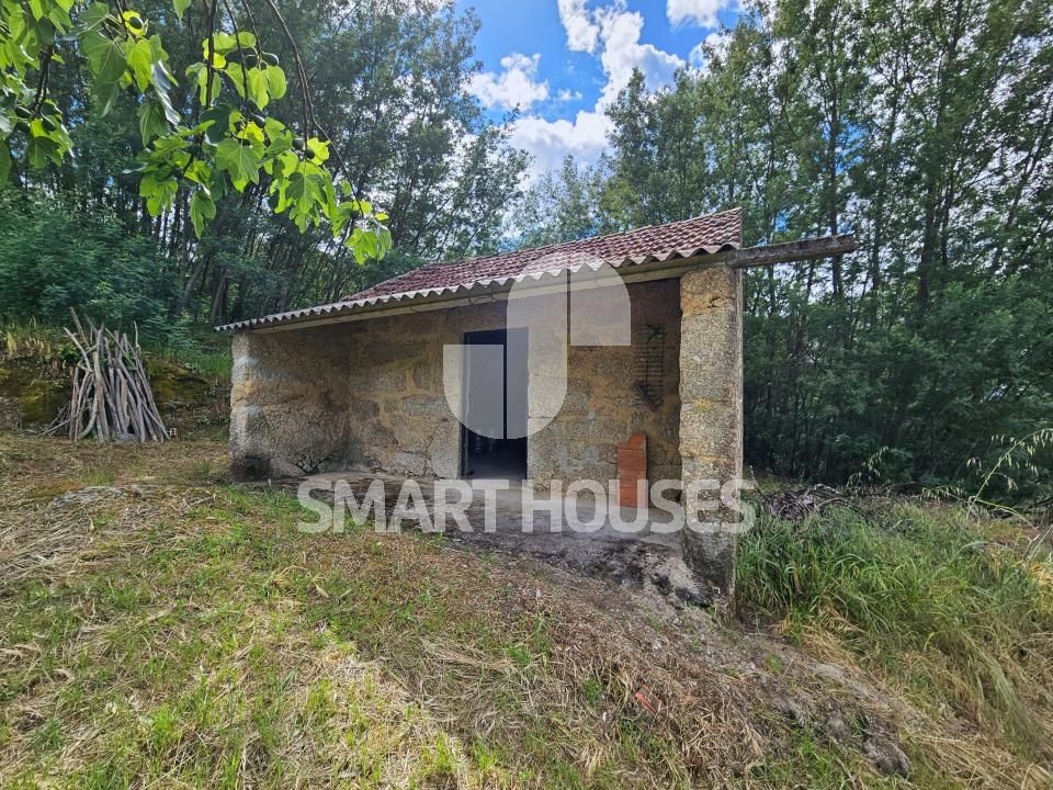 Farm i Tabua, Coimbra - foto 4