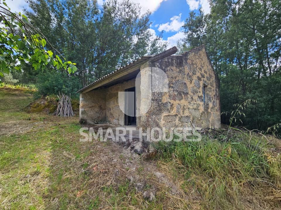 Farm i Tabua, Coimbra - foto 5