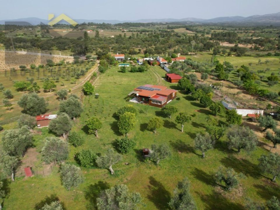 Farm i Castelo Branco, Castelo Branco - foto 1