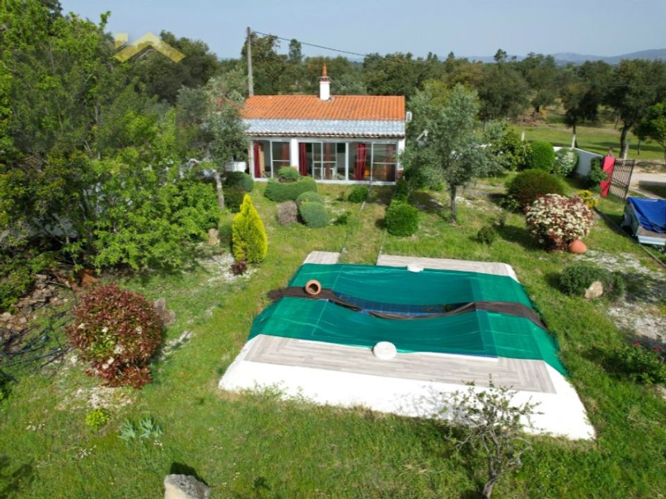 Farm i Castelo Branco, Castelo Branco - foto 4