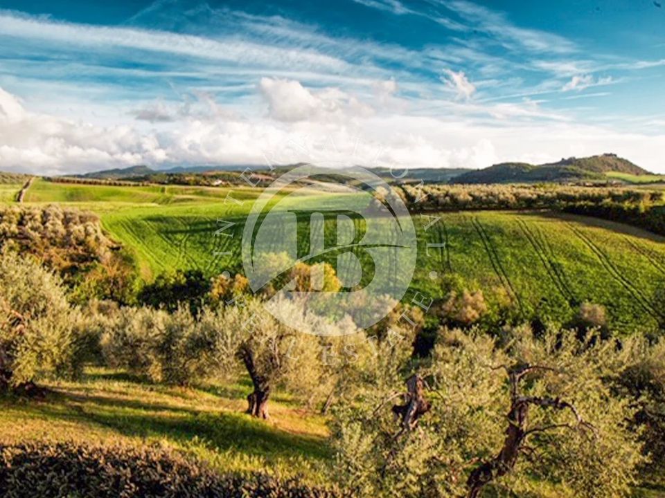 Villa i Castel del Piano, Grosseto - bilde 4