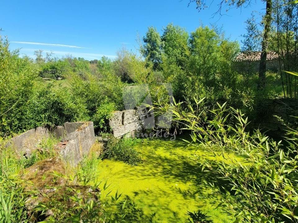 Farm hus i A do Bispo, Castelo Branco - foto 1