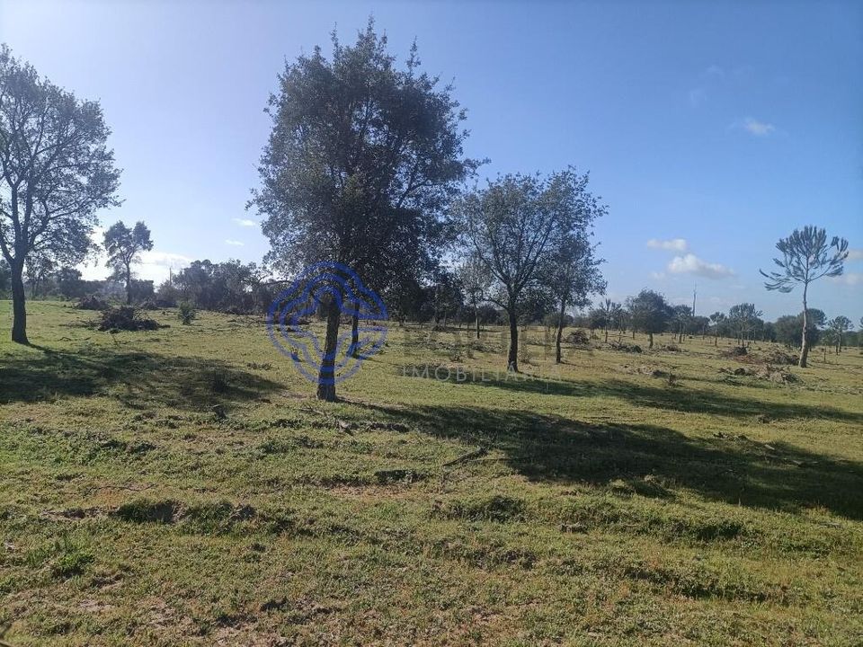 Helårsgrund i Montijo, Setubal - foto 3
