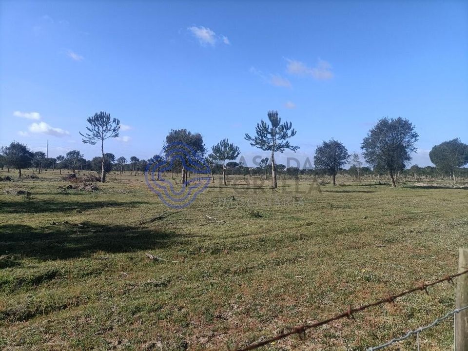 Helårsgrund i Montijo, Setubal - foto 5