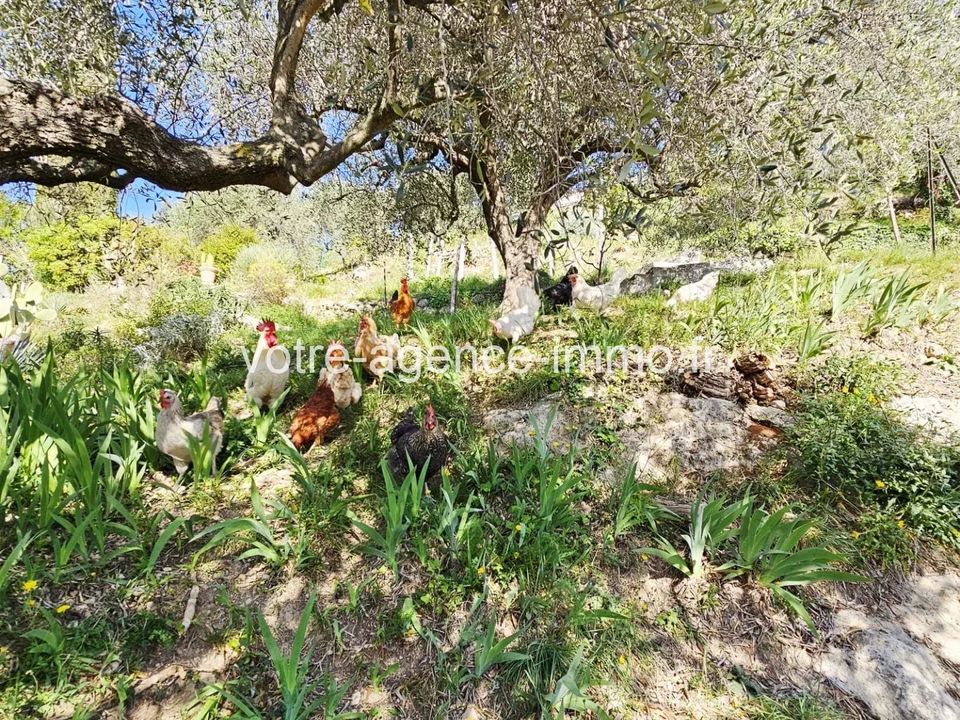 Helårsgrund i Aspremont, Alpes-Maritimes - foto 5