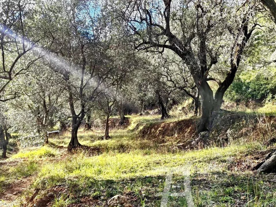 Helårsgrund i Breil-sur-Roya, Alpes-Maritimes - foto 1