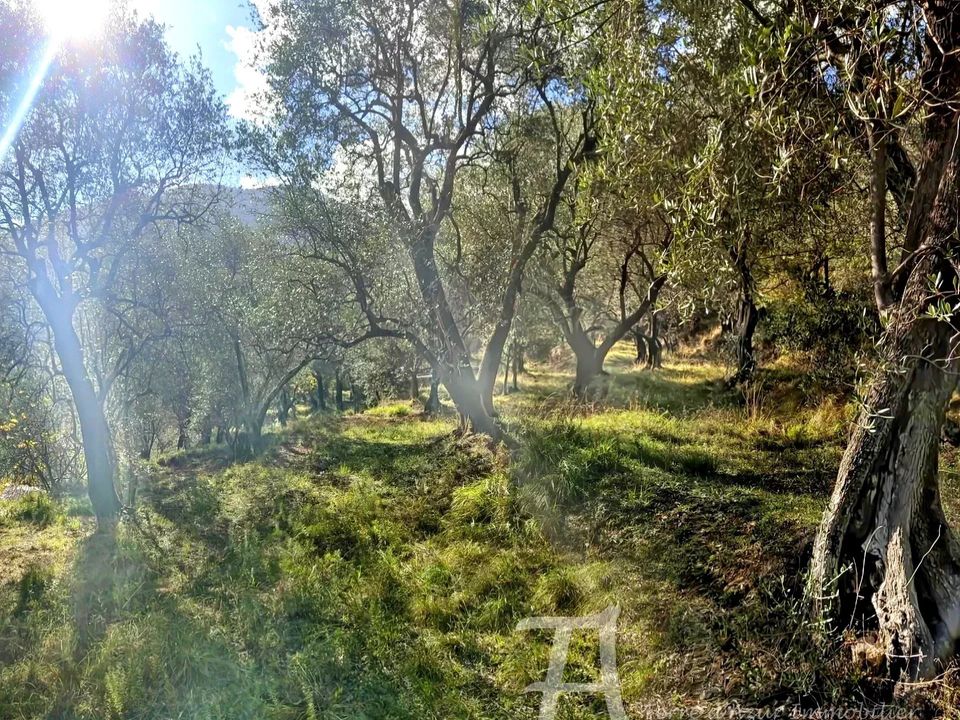 Helårsgrund i Breil-sur-Roya, Alpes-Maritimes - foto 4