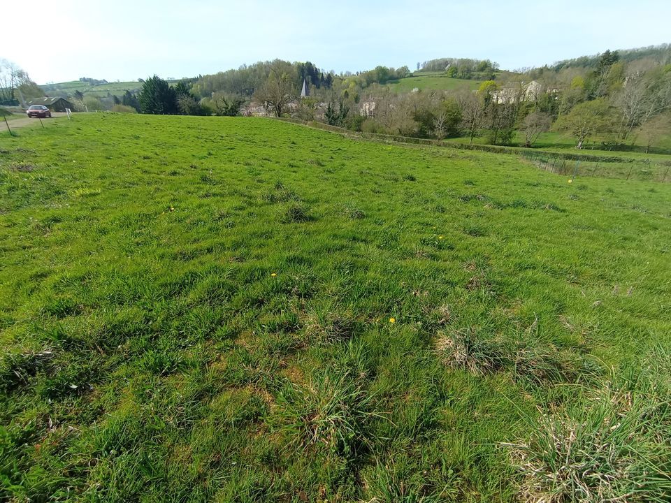 Helårsgrund i Ferrières-sur-Sichon, Allier - foto 1