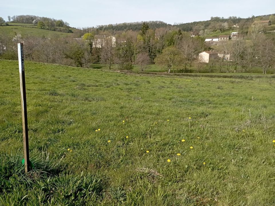 Helårsgrund i Ferrières-sur-Sichon, Allier - foto 2
