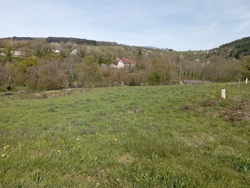 Helårsgrund i Ferrières-sur-Sichon, Allier - foto 3