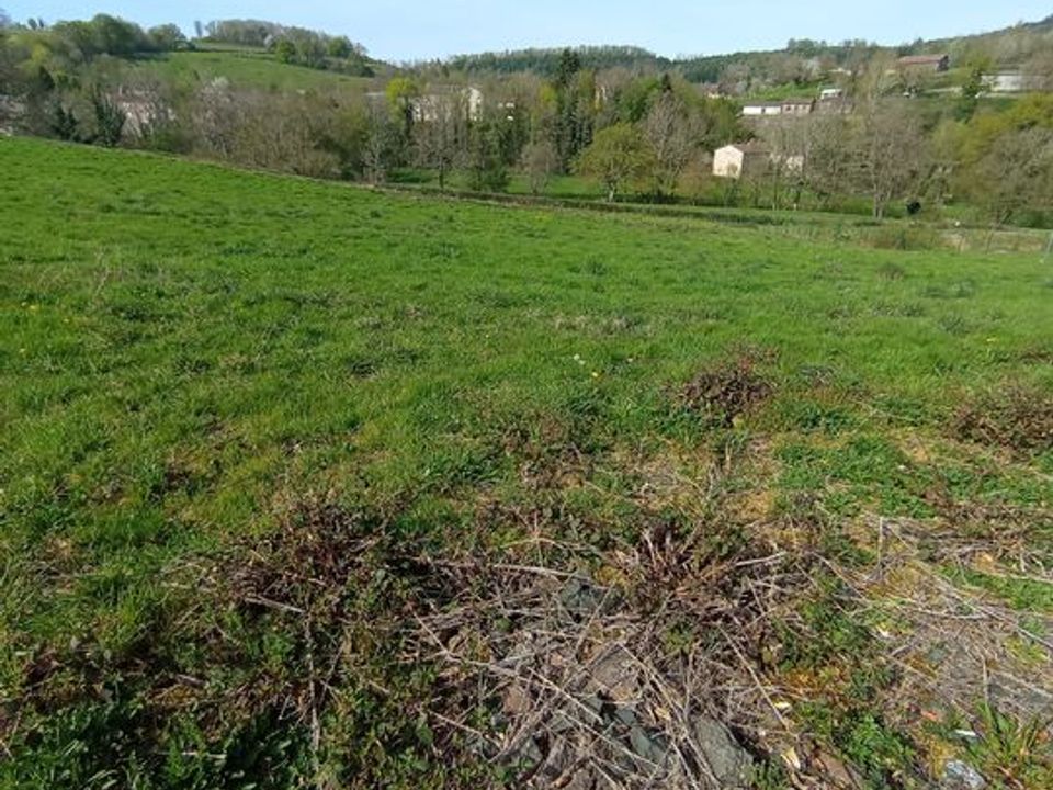 Helårsgrund i Ferrières-sur-Sichon, Allier - foto 4