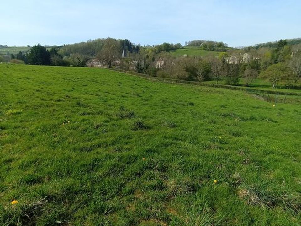 Helårsgrund i Ferrières-sur-Sichon, Allier - foto 5