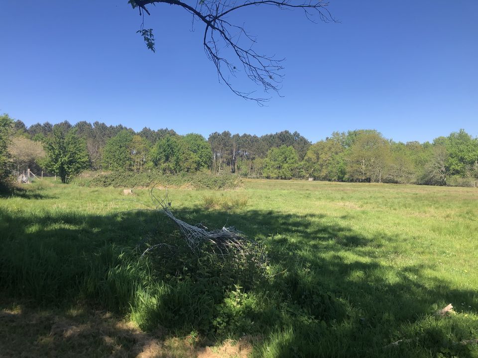 Terra a Gaillan-en-Médoc, Gironde - foto 1