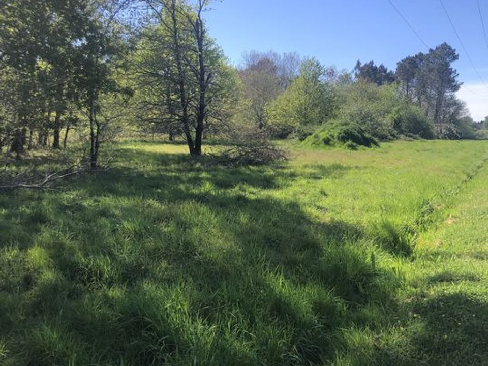 Terra a Gaillan-en-Médoc, Gironde - foto 4