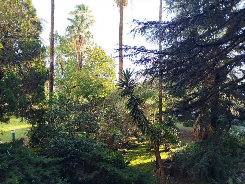 Lejlighed i Cannes, Alpes-Maritimes - foto 2