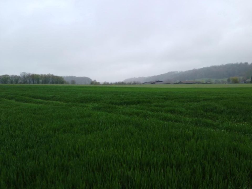 Helårsgrund i Saint-Mard-De-Reno, Orne - foto 2
