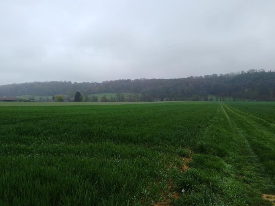 Helårsgrund i Saint-Mard-De-Reno, Orne - foto 3