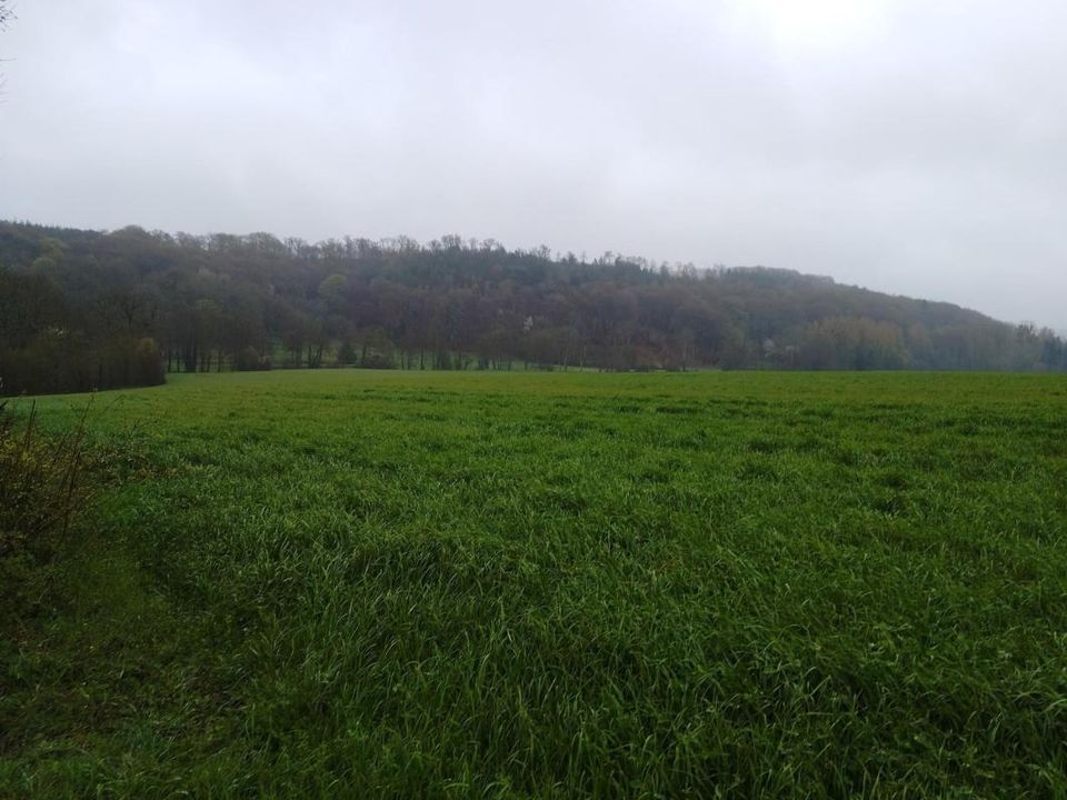 Helårsgrund i Saint-Mard-De-Reno, Orne - foto 4